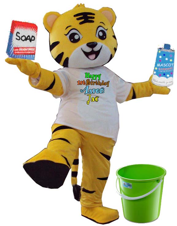 TIGER cleaning